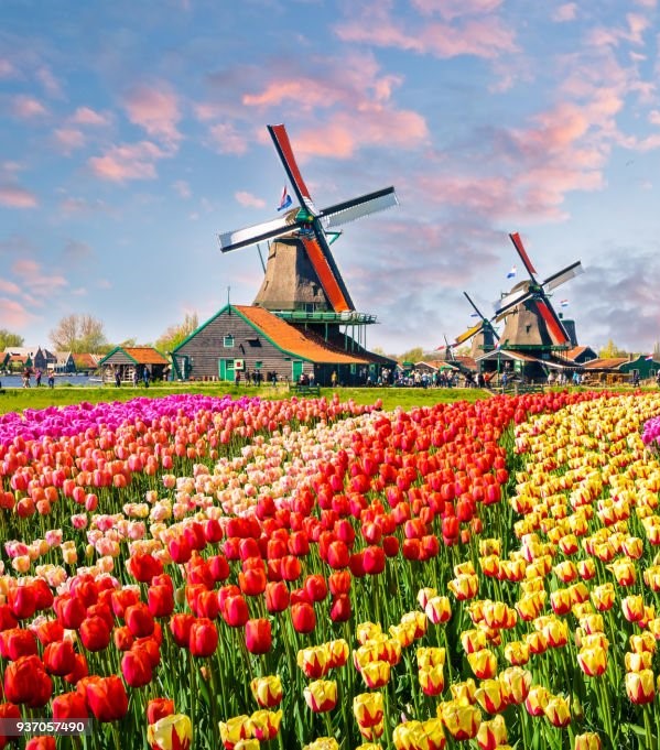 Keukenhof Garten