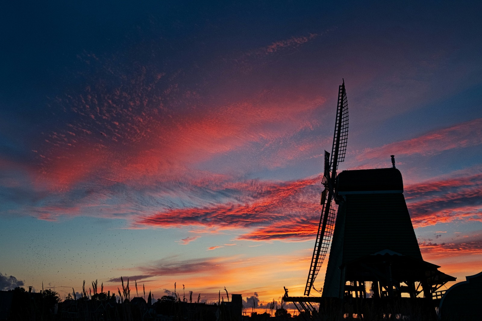Zaanse Schans